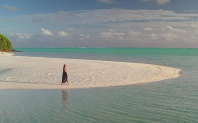 Ile rdzeni ma i5 i jak to wpływa na wydajność?